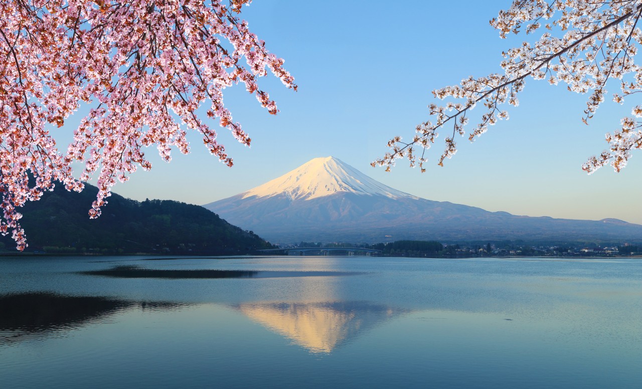 Mount Fuji with Cherry Blossom, view from Lake Kawaguchiko, Japan